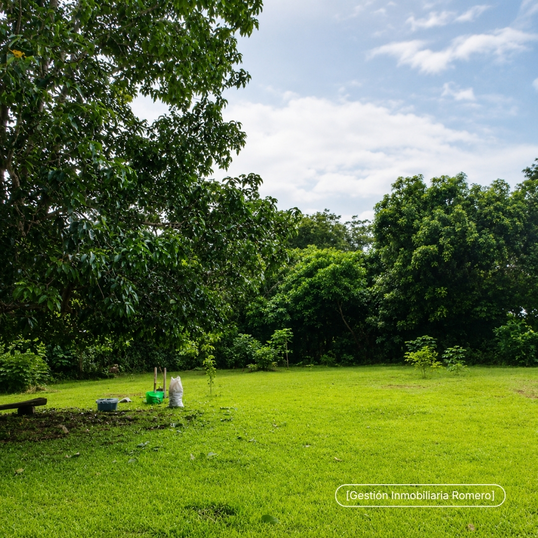 Terreno en venta en San Mateo, Alajuela - 1.000 m² Plano 2