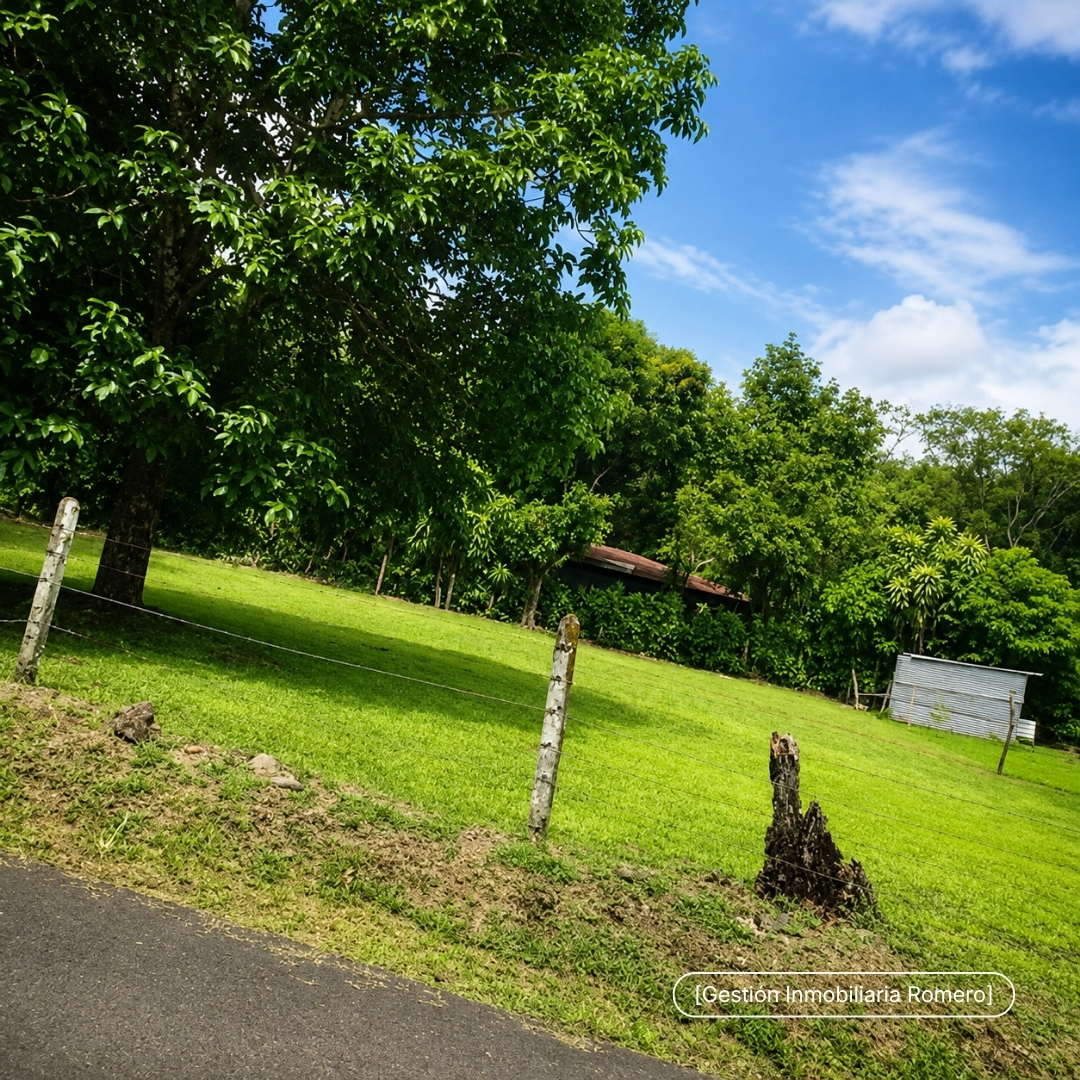 Terreno en venta en San Mateo, Alajuela - 1.000 m² Plano 3