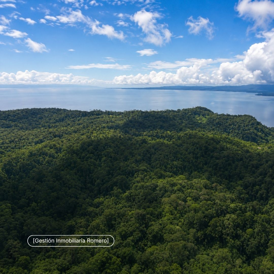 Finca en venta en Sierpe, Puntarenas - 150.5 hectáreas frente a Reserva Forestal Golfo Dulce, Playa Chal