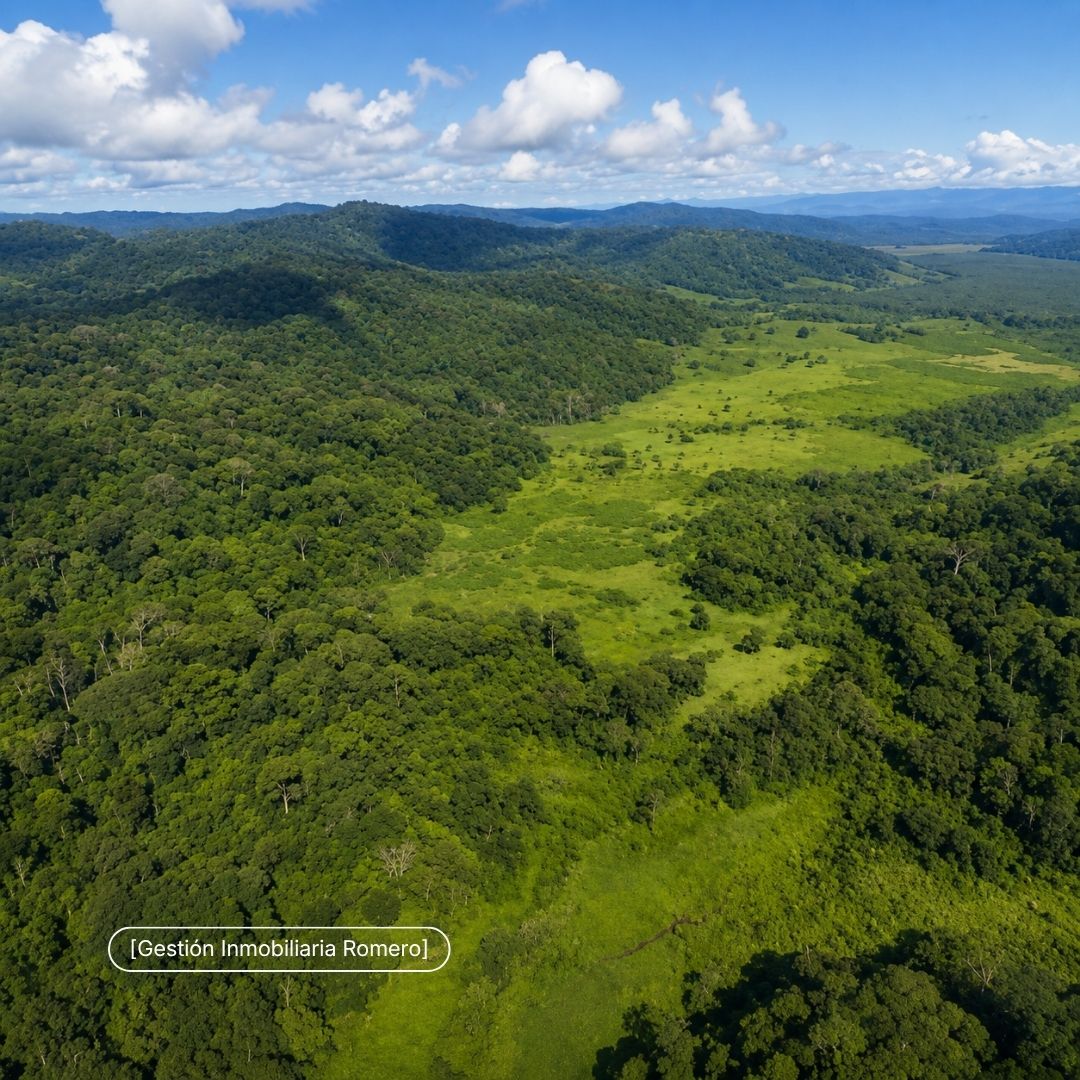 Finca en venta en Sierpe, Puntarenas - 150.5 hectáreas frente a Reserva Forestal Golfo Dulce, Playa Chal 2