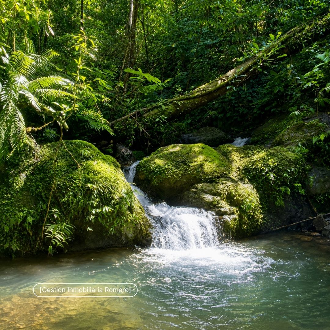 Finca en venta en Sierpe, Puntarenas - 150.5 hectáreas frente a Reserva Forestal Golfo Dulce, Playa Chal 3