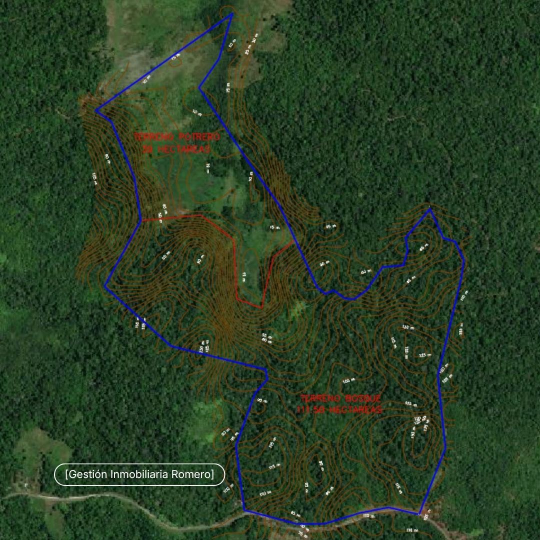Finca en venta en Sierpe, Puntarenas - 150.5 hectáreas frente a Reserva Forestal Golfo Dulce, Playa Chal 4