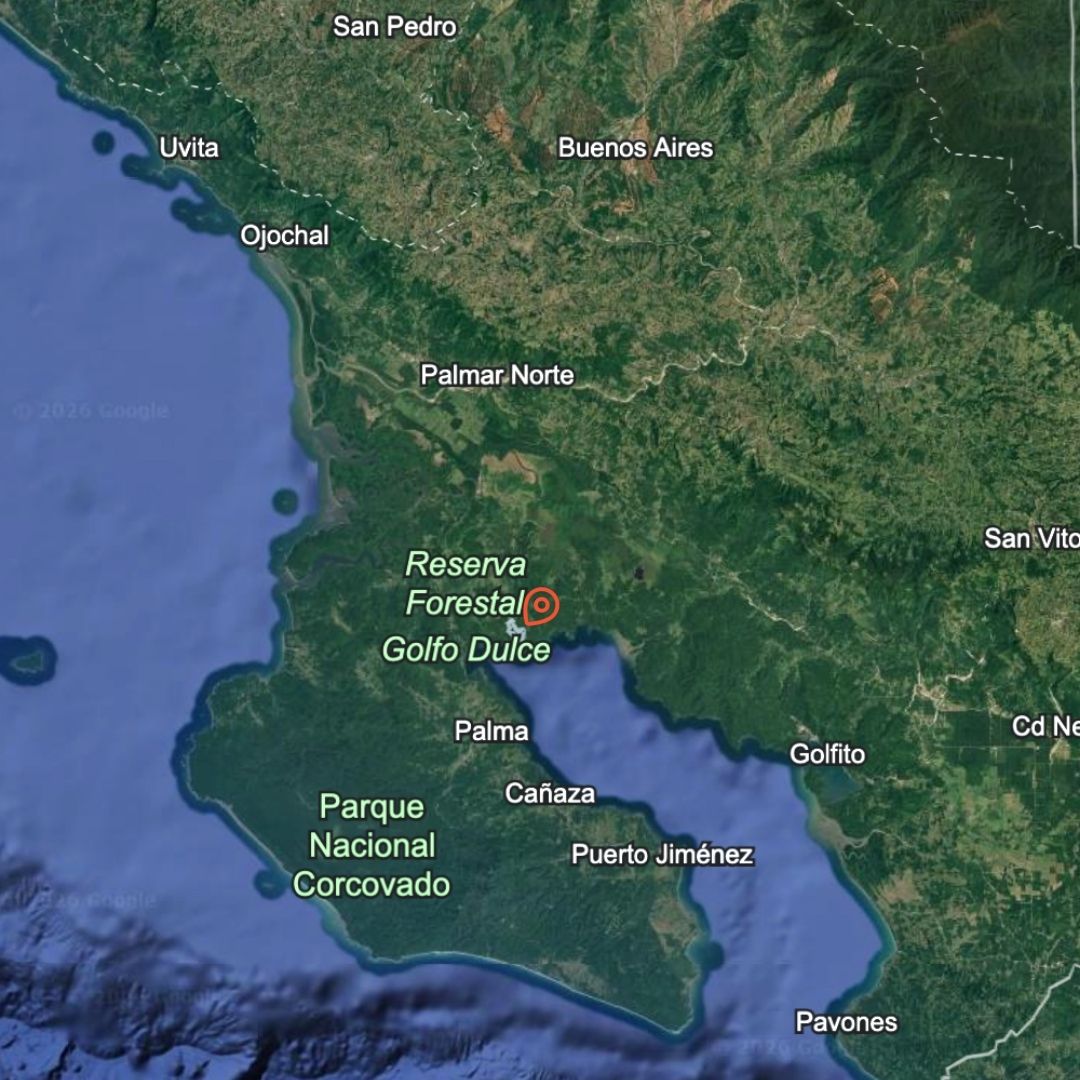 Finca en venta en Sierpe, Puntarenas - 150.5 hectáreas frente a Reserva Forestal Golfo Dulce, Playa Chal 5