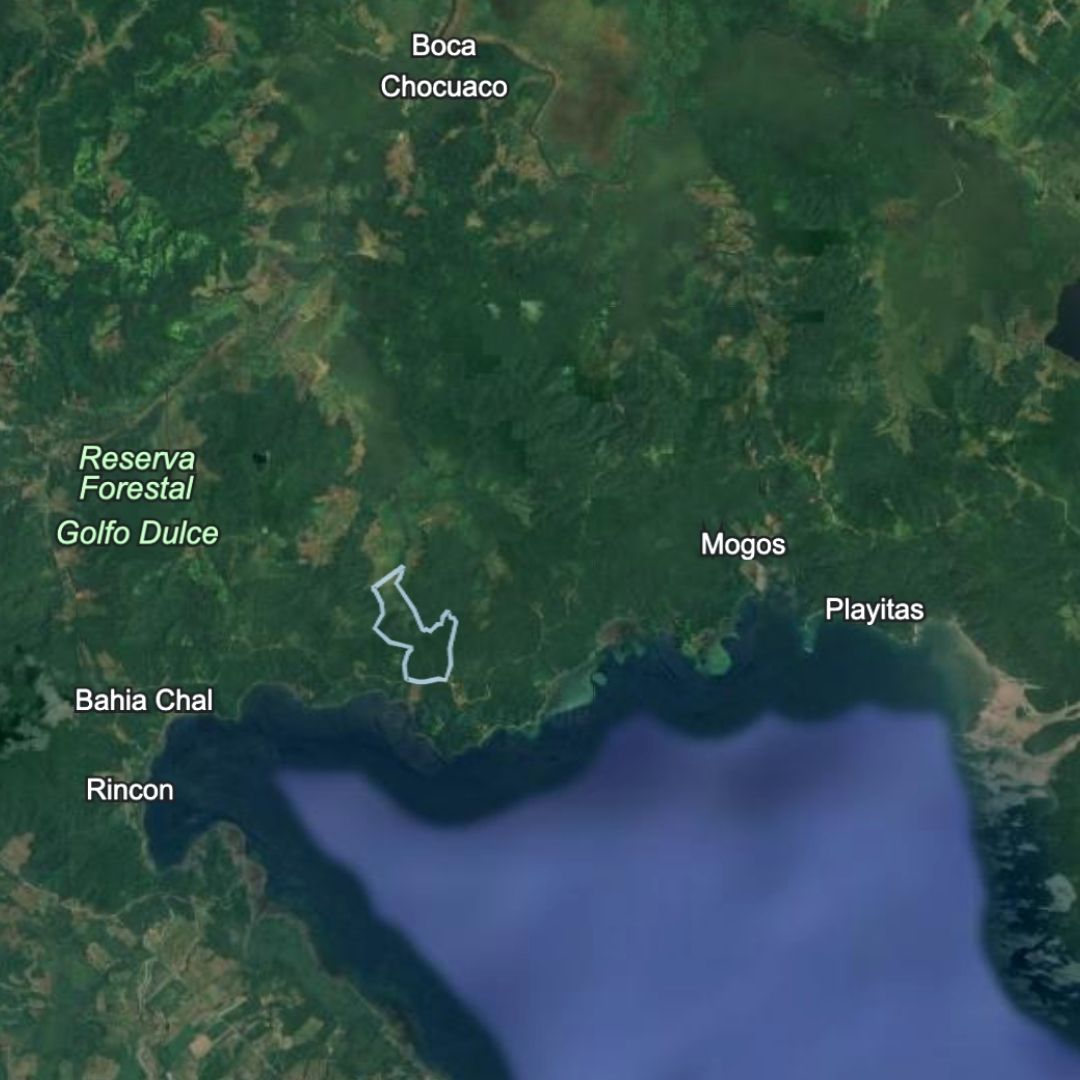Finca en venta en Sierpe, Puntarenas - 150.5 hectáreas frente a Reserva Forestal Golfo Dulce, Playa Chal 6